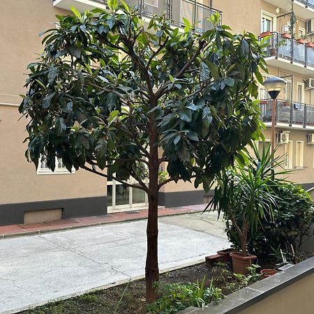شقة Nolo62, A Nifty Flat In ميلان المظهر الخارجي الصورة